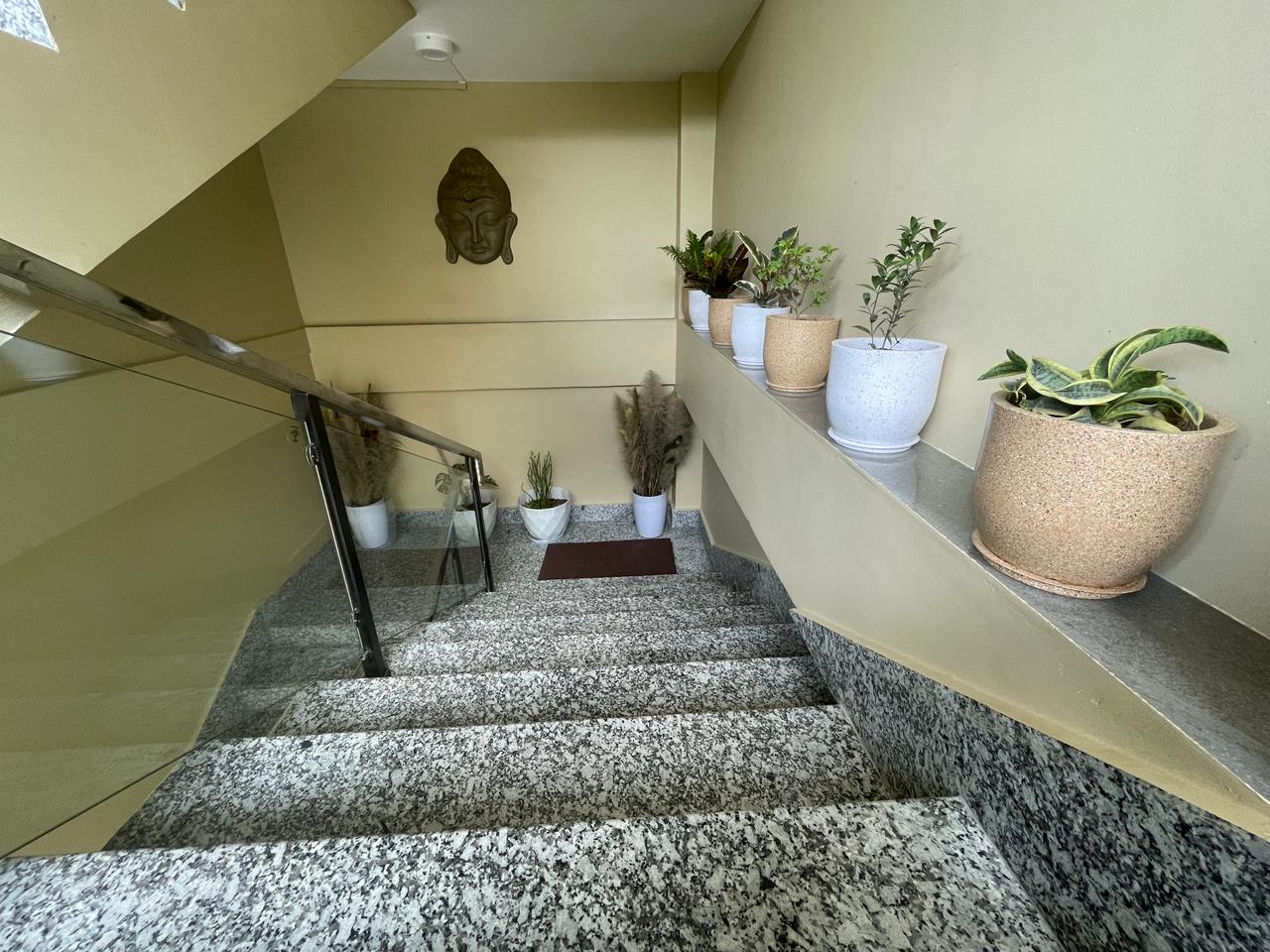 Nangsa Homestay staircase with potted plants and Buddha figure Dirang Arunachal Pradesh